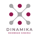 DMS Logo